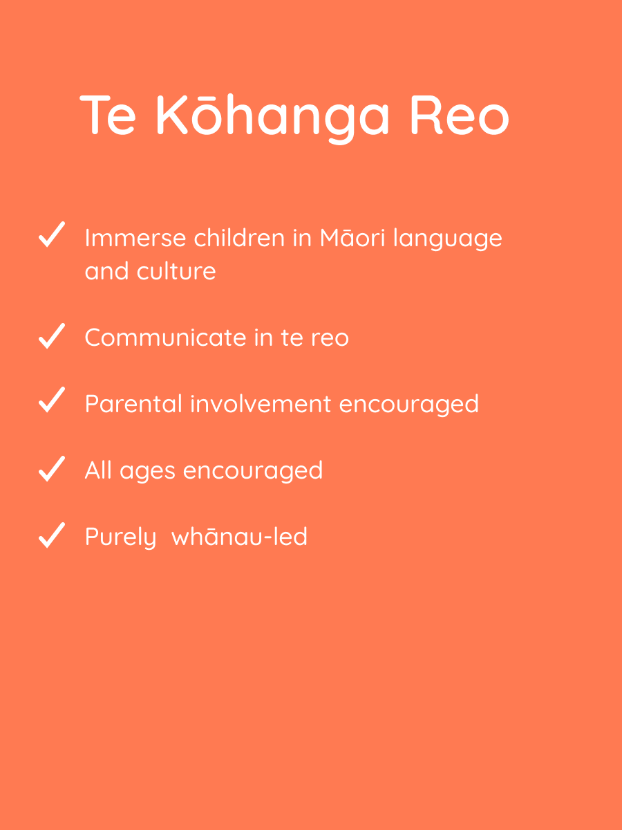 Te Kohanga Reo features