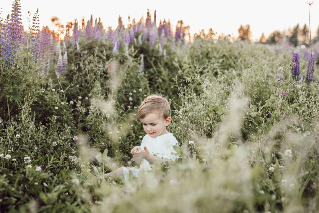 Child sitting in afield of flowers playing
