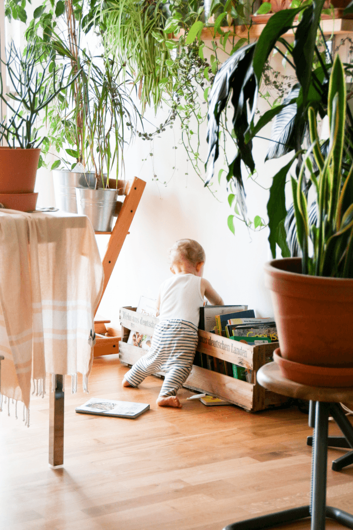 Child standing playing with different books surrounded by hanging house plants