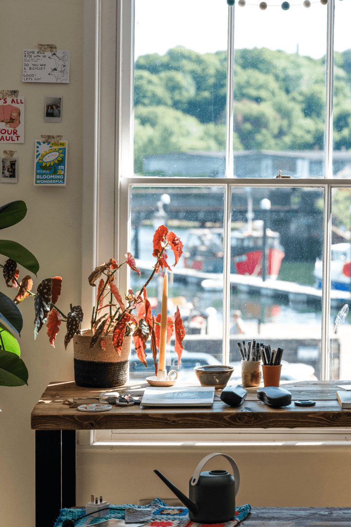 Wooden desk aside window with red leafed pot plant and paint brushes