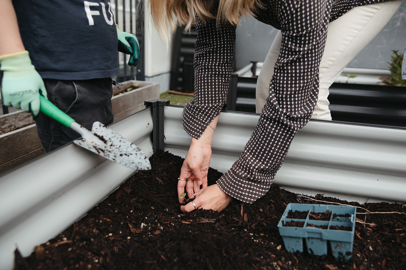 Lady placing seedling in garden bed