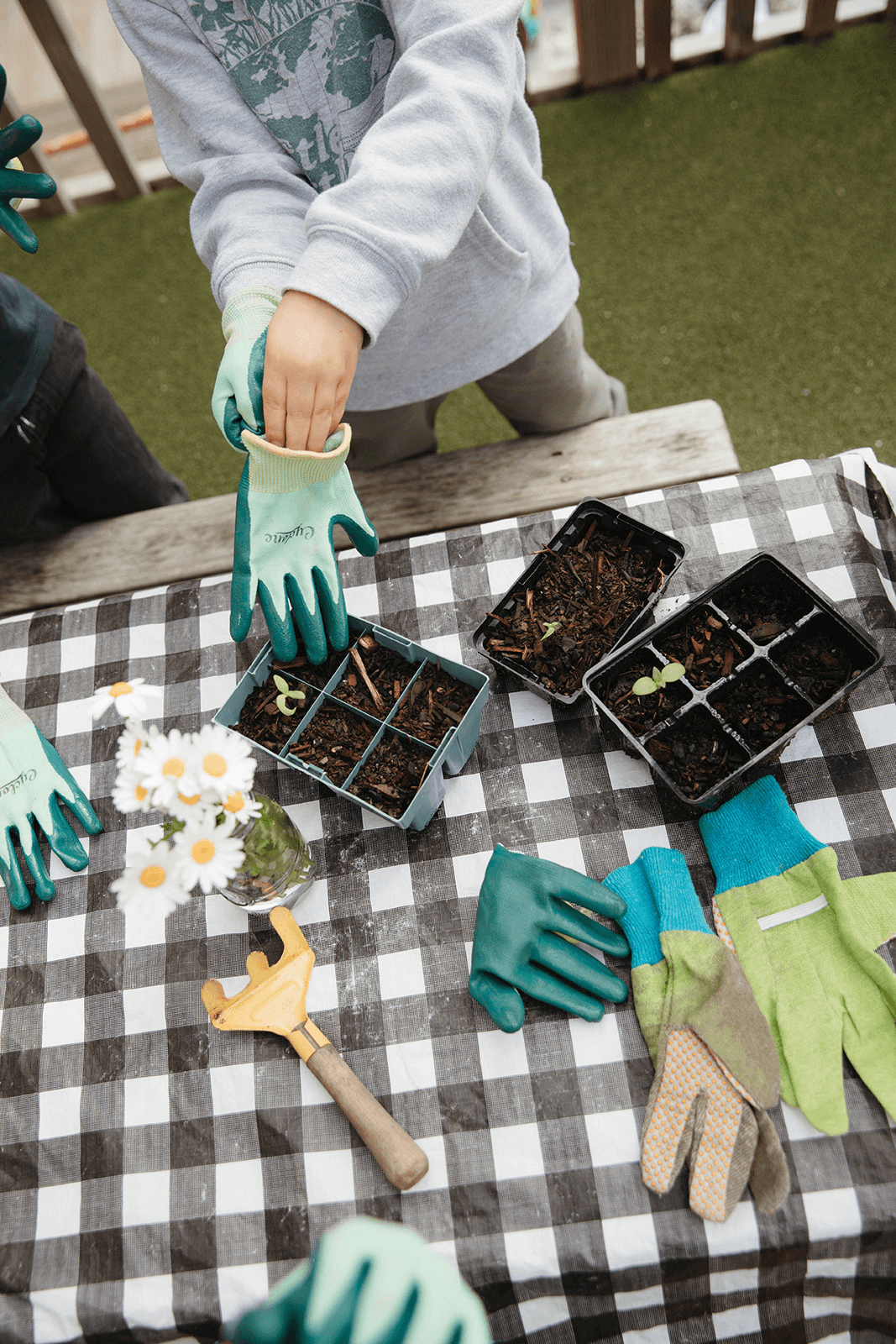 Gardening gloves and tray with seedlings atop picnic table