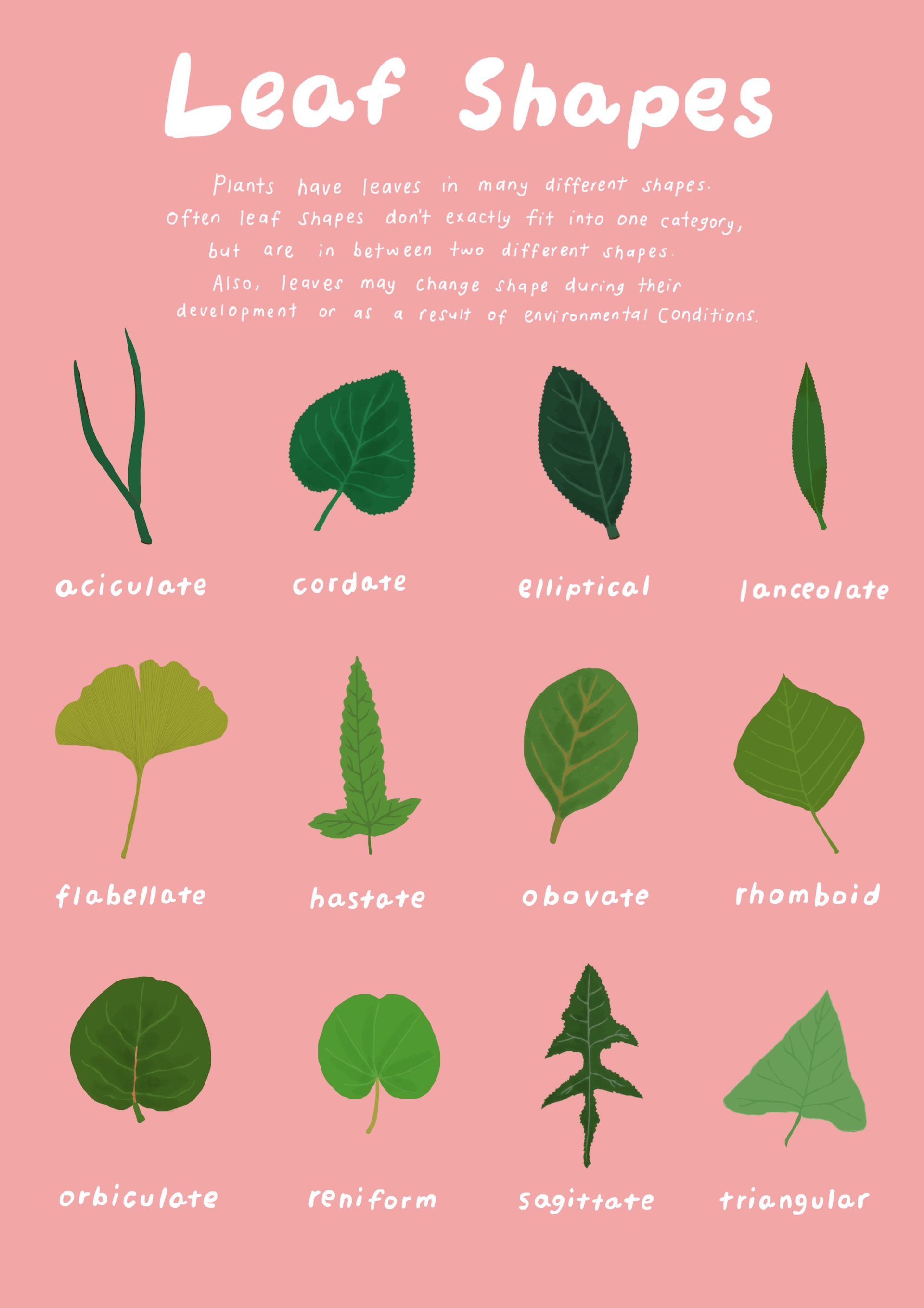 Pink poster with leaf shapes