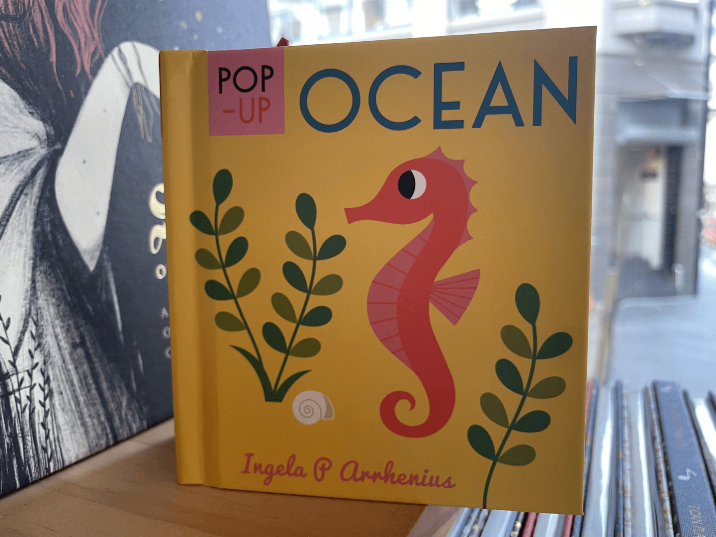 Pop-Up Ocean Book Cover