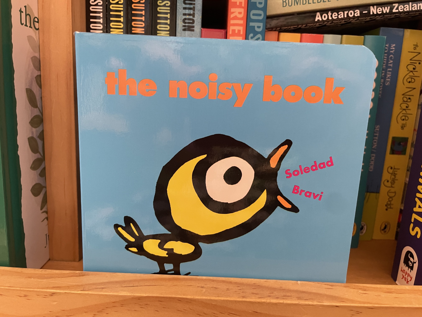 Book Cover of The Noisy Book